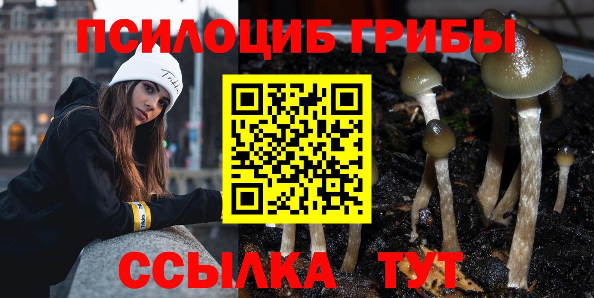 Псилоцибиновые грибы GOLDEN TEACHER Салехард