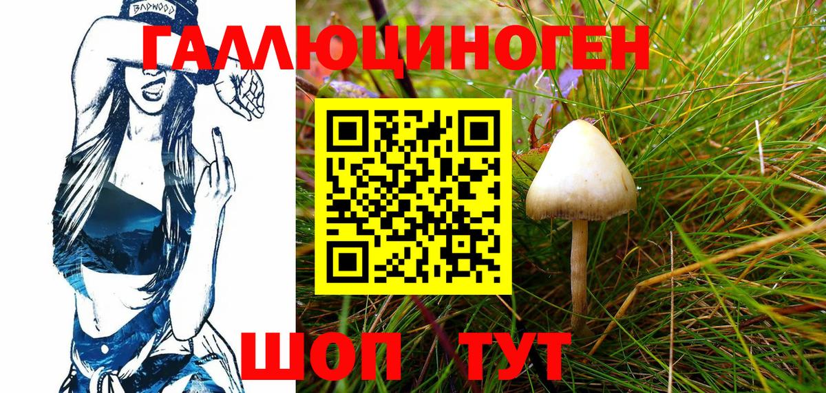 Псилоцибиновые грибы прущие грибы  Вход с VPN  Псилоцибиновые грибы Psilocybe  Салехард 